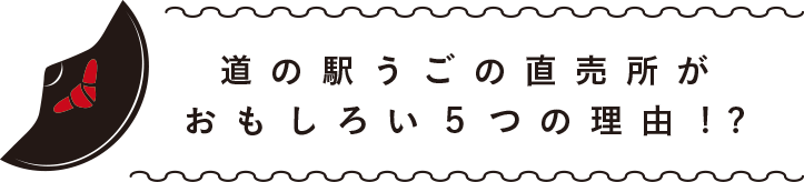 道の駅うごの直売所がおもしろい5つの理由！？